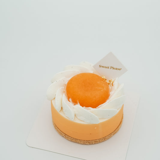 Melon Double Cheesecake Mono 蜜瓜双层芝士慕斯单人份
